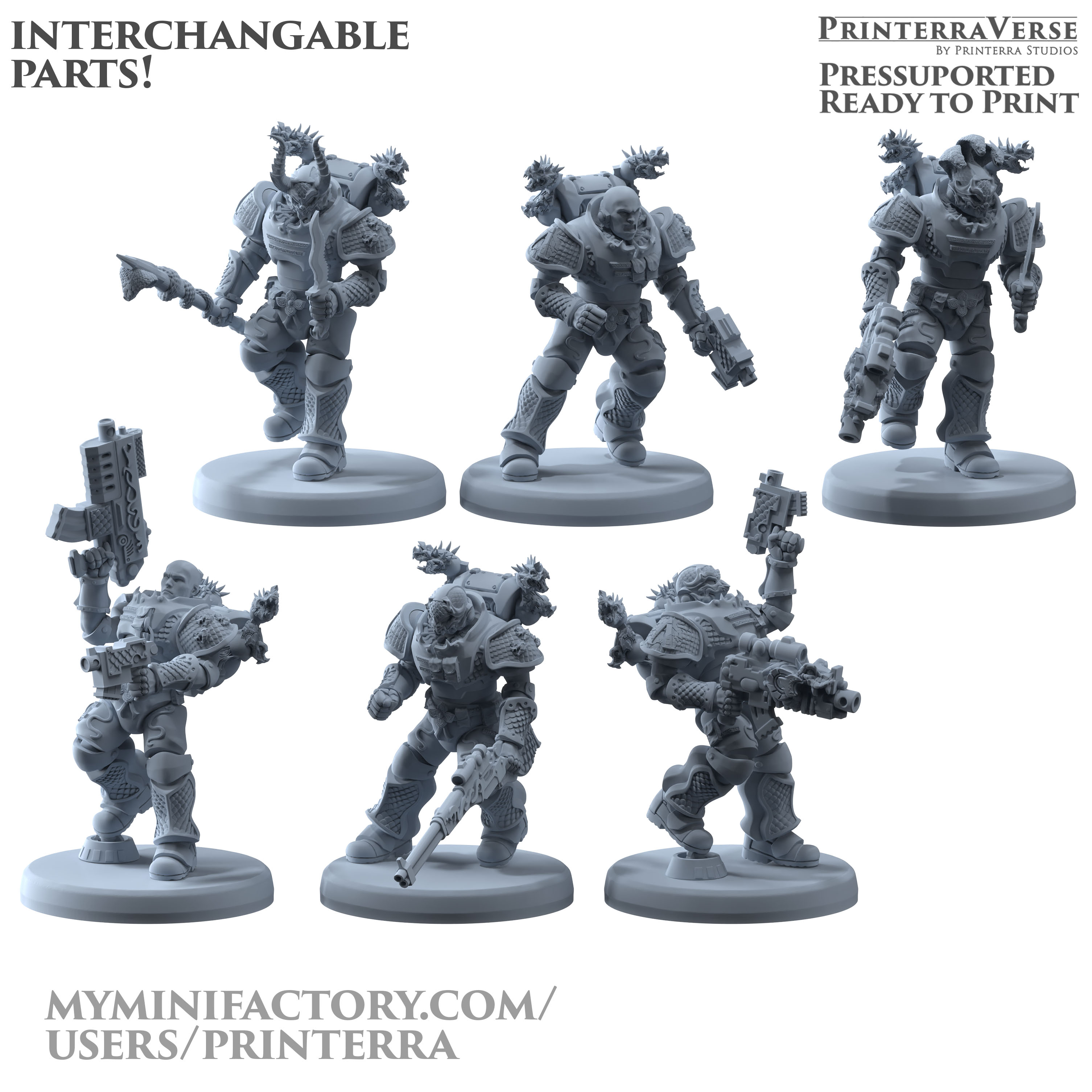 043 ALPHAYA Legion Knights Squad B
